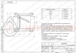 Обратный клапан поворотный межфланцевый (стяжное в сборе) 19нж16нж DN 250 PN 1,6 МПа УХЛ1, корпус ст. 12Х18Н10Т