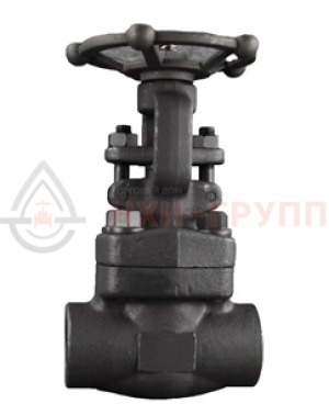 Кованая задвижка стальная клиновая с выдвижным шпинделем муфтовая ручная 30с41нж DN 32 PN 1,6 МПа У1, корпус ст. 20, класс герметичности «А» по ГОСТ 9544-2015