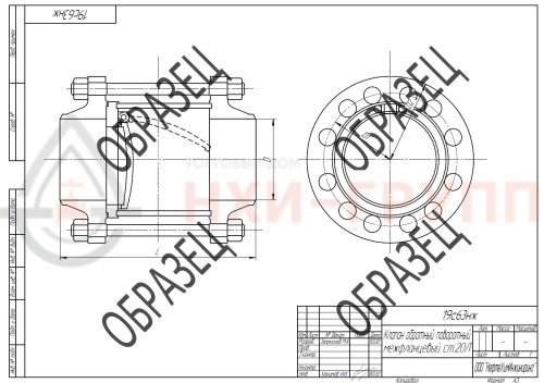 Клапан обратный поворотный межфланцевый (стяжное в сборе) 19с63нж DN 400 PN 6,3 МПа У1, корпус ст. 20