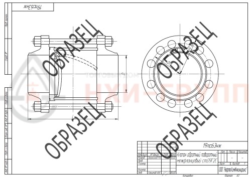 Клапан обратный поворотный межфланцевый (стяжное в сборе) 19лс63нж DN 50 PN 6,3 МПа ХЛ1, корпус ст. 09Г2С