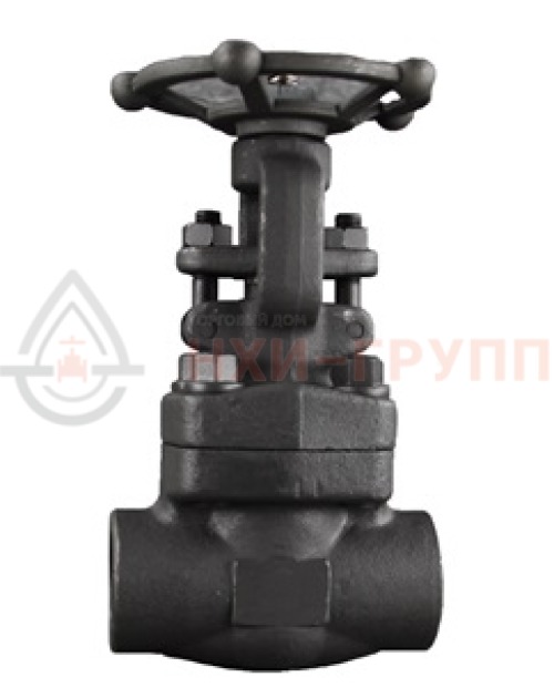 Задвижка кованая стальная клиновая с выдвижным шпинделем муфтовая ручная 30лс41нж DN 25 PN 1,6 МПа ХЛ1, корпус ст. 09Г2С, класс герметичности «А» по ГОСТ 9544-2015